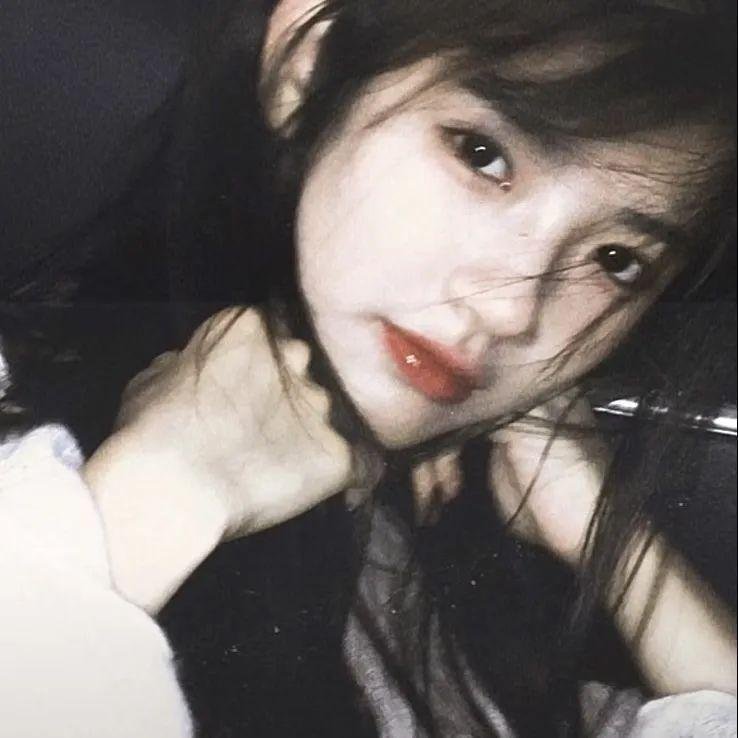 动物神探队第一季