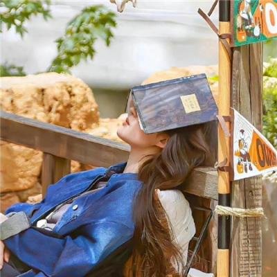 佳人送我置山巅